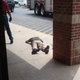 This photo and several others like it began popping up on social media showing a plainclothes detective lying on the ground unconcious after being beaten by a suspect.
Twitter